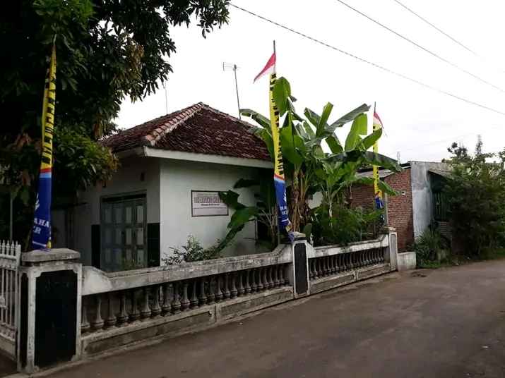 Jasa Bangun Green House